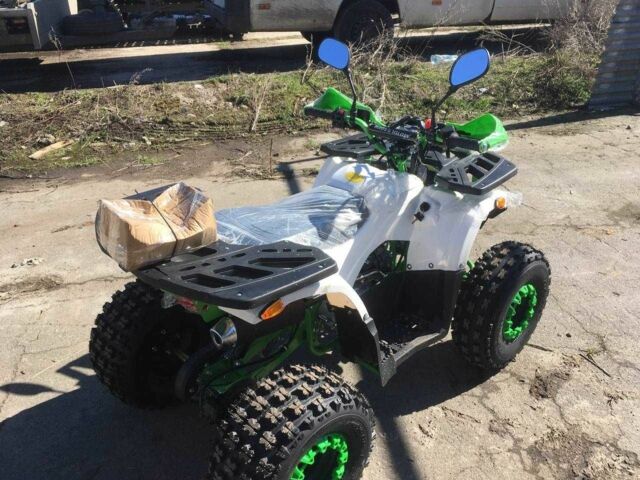 Форте Другая, объемом двигателя 0.13 л и пробегом 0 тыс. км за 1215 $, фото 3 на Automoto.ua