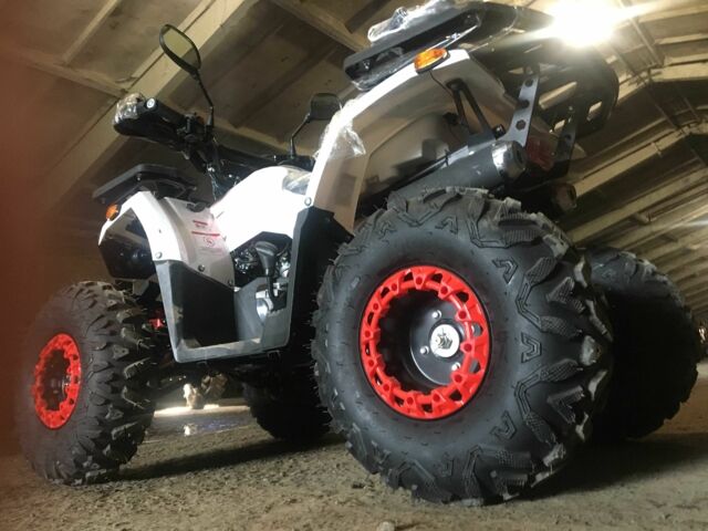 Форте Другая, объемом двигателя 0.13 л и пробегом 0 тыс. км за 1150 $, фото 4 на Automoto.ua