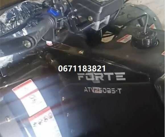 Форте Інша, об'ємом двигуна 0 л та пробігом 0 тис. км за 3920 $, фото 6 на Automoto.ua