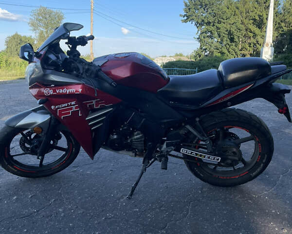 Красный Форте FTR 300, объемом двигателя 0.3 л и пробегом 18 тыс. км за 999 $, фото 5 на Automoto.ua