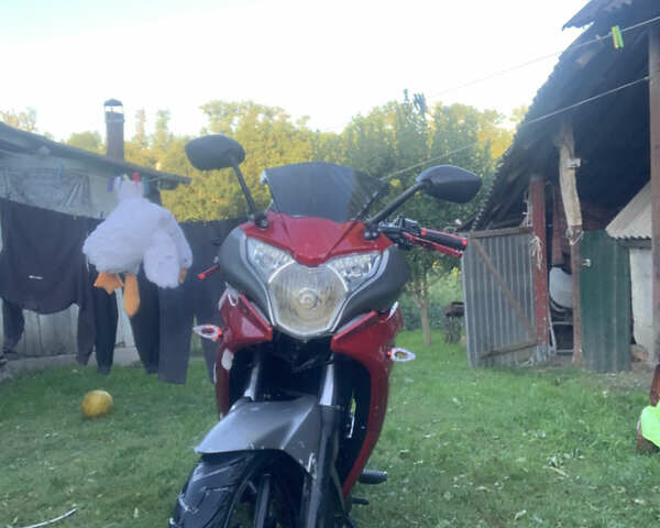 Форте FTR 300, объемом двигателя 0.3 л и пробегом 13 тыс. км за 1100 $, фото 6 на Automoto.ua