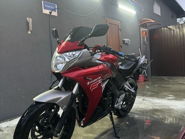 Форте FTR 300, объемом двигателя 0.3 л и пробегом 0 тыс. км за 900 $, фото 2 на Automoto.ua