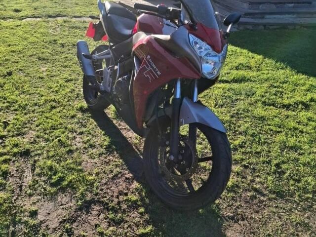Форте FTR 300, объемом двигателя 0.3 л и пробегом 0 тыс. км за 1300 $, фото 2 на Automoto.ua