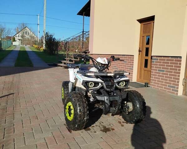 Белый Форте Hunter, объемом двигателя 0 л и пробегом 3 тыс. км за 570 $, фото 6 на Automoto.ua