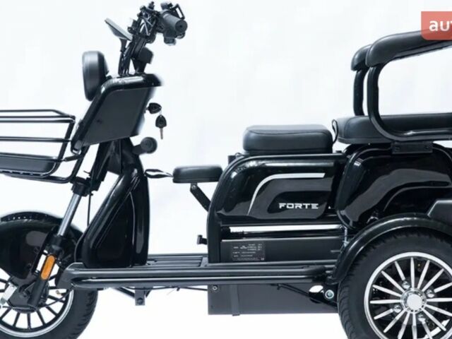 Форте P1000 2025 в Кременчуге на Automoto.ua Форте P1000, объемом двигателя 0 л и пробегом 0 тыс. км за 990 $, фото 1 на Automoto.ua