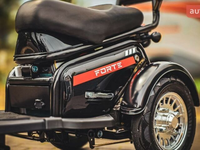 Форте S1-WS600, объемом двигателя 0 л и пробегом 0 тыс. км за 920 $, фото 5 на Automoto.ua