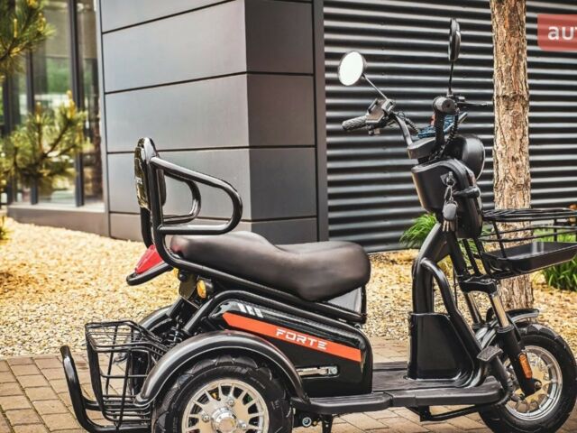 Форте S1-WS600, об'ємом двигуна 0 л та пробігом 0 тис. км за 920 $, фото 4 на Automoto.ua