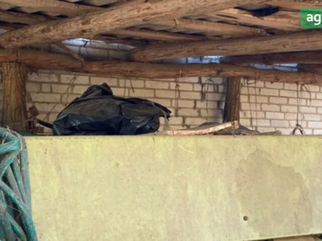 Фортшрит K-454, объемом двигателя 0 л и пробегом 0 тыс. км за 2000 $, фото 1 на Automoto.ua