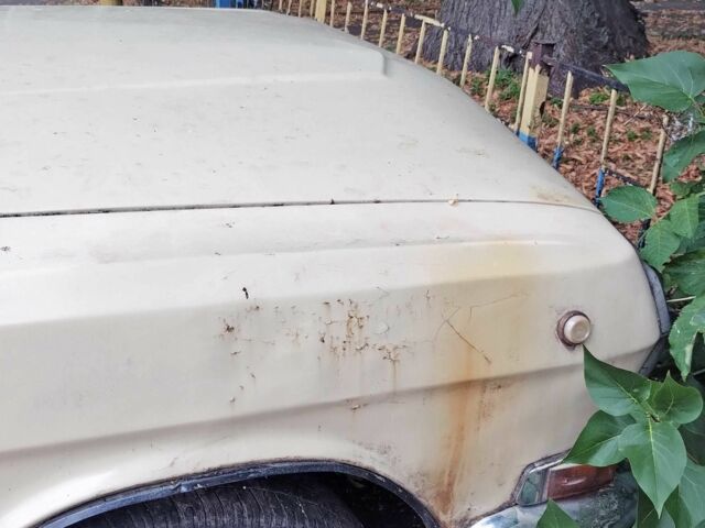 Бежевый ГАЗ 24-10 Волга, объемом двигателя 2.5 л и пробегом 80 тыс. км за 592 $, фото 6 на Automoto.ua