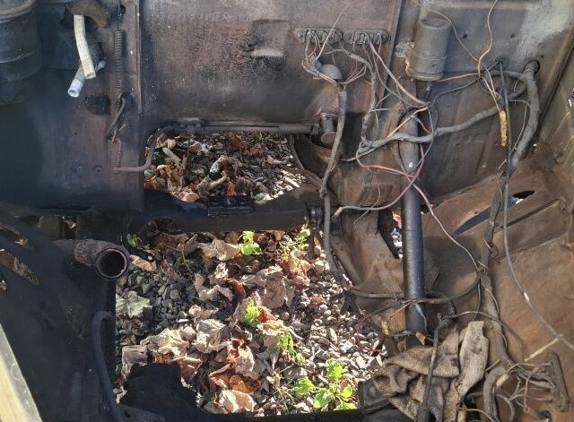 Бежевий ГАЗ 24, об'ємом двигуна 2 л та пробігом 50 тис. км за 890 $, фото 6 на Automoto.ua