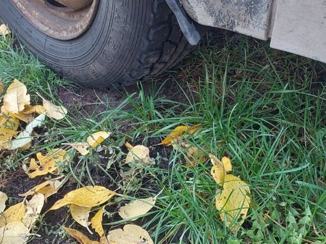 Серый ГАЗ 2818 Газель, объемом двигателя 0 л и пробегом 777 тыс. км за 954 $, фото 2 на Automoto.ua