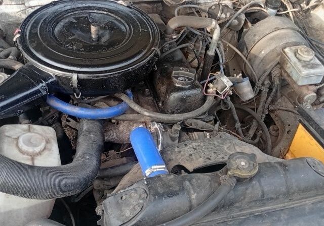 Білий ГАЗ 31029 Волга, об'ємом двигуна 2.4 л та пробігом 20 тис. км за 1111 $, фото 10 на Automoto.ua