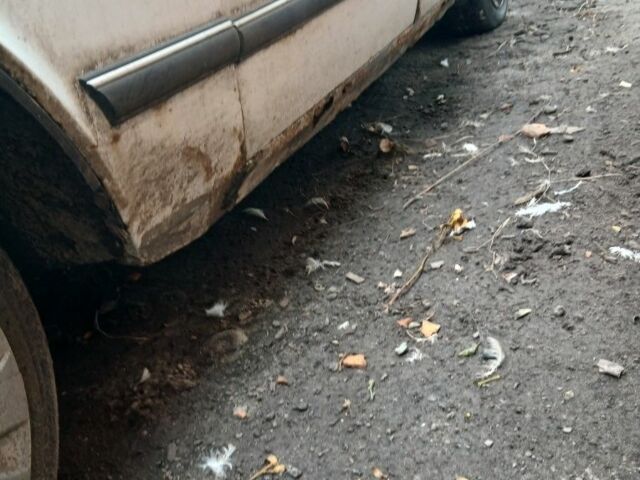 Білий ГАЗ 3110 Волга, об'ємом двигуна 0 л та пробігом 2 тис. км за 335 $, фото 2 на Automoto.ua