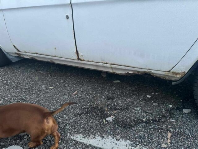 Белый ГАЗ 3110 Волга, объемом двигателя 2.5 л и пробегом 200 тыс. км за 403 $, фото 14 на Automoto.ua