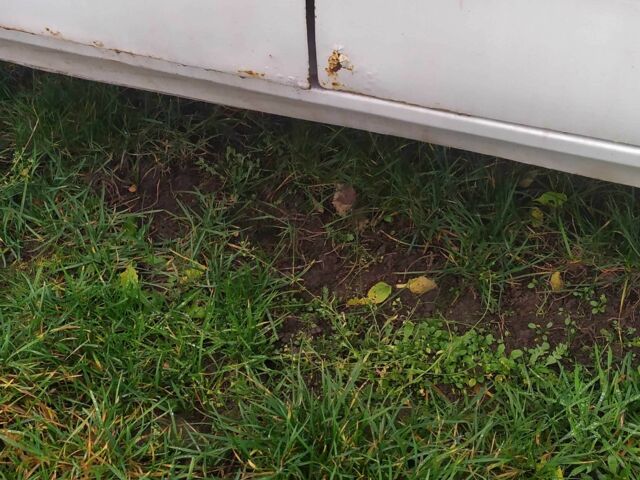 Белый ГАЗ 3110 Волга, объемом двигателя 2.4 л и пробегом 1000 тыс. км за 500 $, фото 1 на Automoto.ua