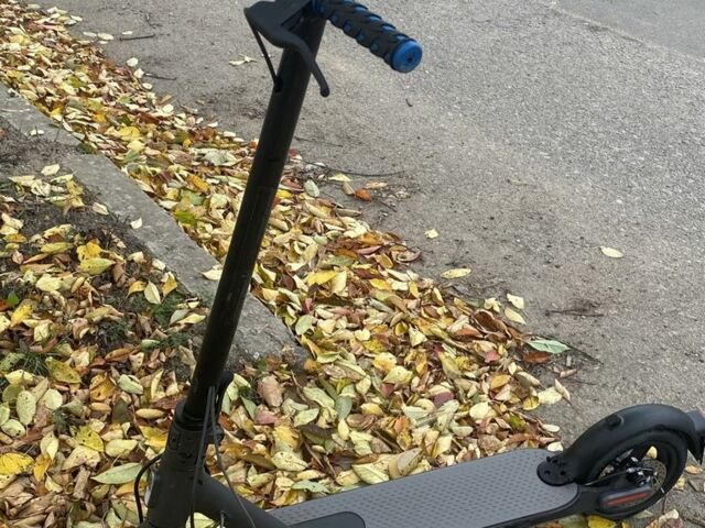 ГАЗ 3110 Волга 2020 в Бару на Automoto.ua ГАЗ 3110 Волга, объемом двигателя 2.45 л и пробегом 0 тыс. км за 124 $, фото 1 на Automoto.ua