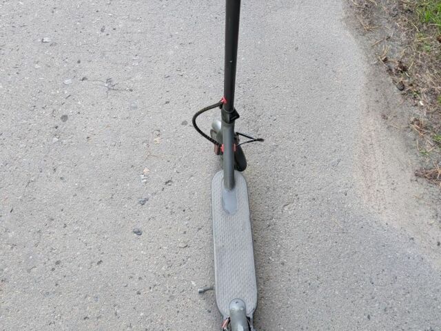 ГАЗ 3110 Волга 2023 в Бершаде на Automoto.ua ГАЗ 3110 Волга, объемом двигателя 2.45 л и пробегом 0 тыс. км за 227 $, фото 6 на Automoto.ua