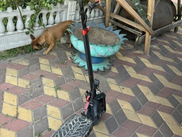 ГАЗ 3110 Волга, объемом двигателя 2.45 л и пробегом 0 тыс. км за 381 $, фото 2 на Automoto.ua