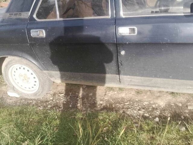 Синий ГАЗ 3110 Волга, объемом двигателя 2.4 л и пробегом 150 тыс. км за 830 $, фото 1 на Automoto.ua