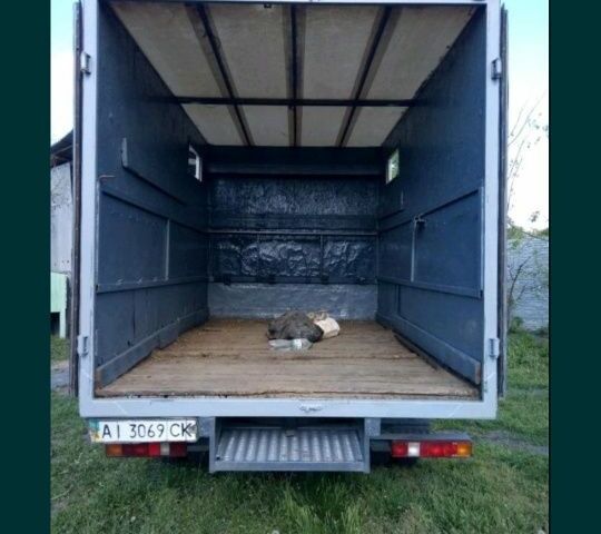 Білий ГАЗ 3302 ГАЗель, об'ємом двигуна 2 л та пробігом 120 тис. км за 3800 $, фото 2 на Automoto.ua