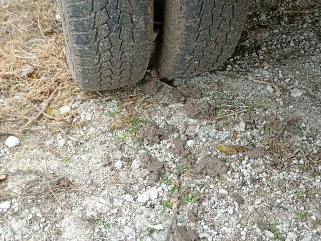 Фиолетовый ГАЗ 3302 ГАЗель, объемом двигателя 0 л и пробегом 123 тыс. км за 900 $, фото 6 на Automoto.ua