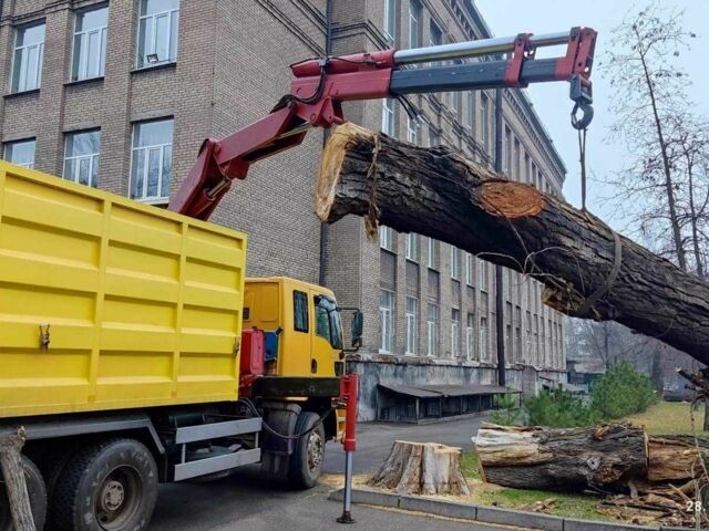 Желтый ГАЗ 3302, объемом двигателя 7.3 л и пробегом 0 тыс. км за 63236 $, фото 7 на Automoto.ua