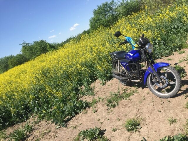 ГАЗ 6601 2017 в Стрые на Automoto.ua ГАЗ 6601, объемом двигателя 0.13 л и пробегом 0 тыс. км за 425 $, фото 1 на Automoto.ua