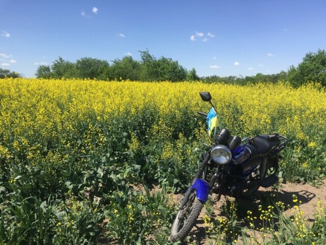 ГАЗ 6601 2017 в Стрые на Automoto.ua ГАЗ 6601, объемом двигателя 0.13 л и пробегом 0 тыс. км за 425 $, фото 4 на Automoto.ua