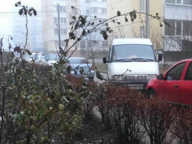 Білий ГАЗ Інша, об'ємом двигуна 0 л та пробігом 200 тис. км за 1024 $, фото 3 на Automoto.ua