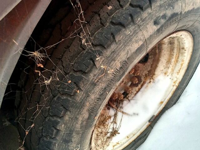 Білий ГАЗ Газель, об'ємом двигуна 2.4 л та пробігом 0 тис. км за 2000 $, фото 3 на Automoto.ua