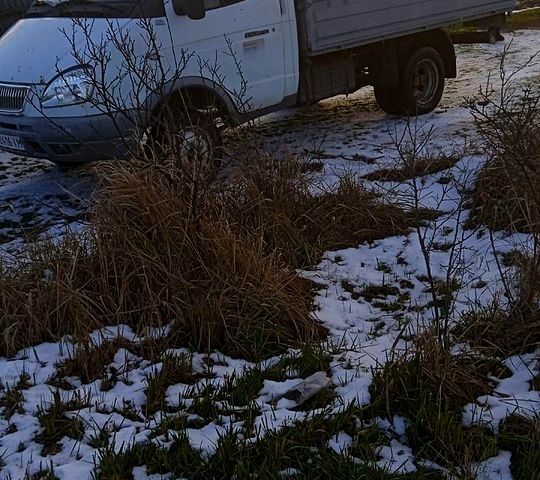 ГАЗ Газель, объемом двигателя 2.5 л и пробегом 0 тыс. км за 2950 $, фото 6 на Automoto.ua