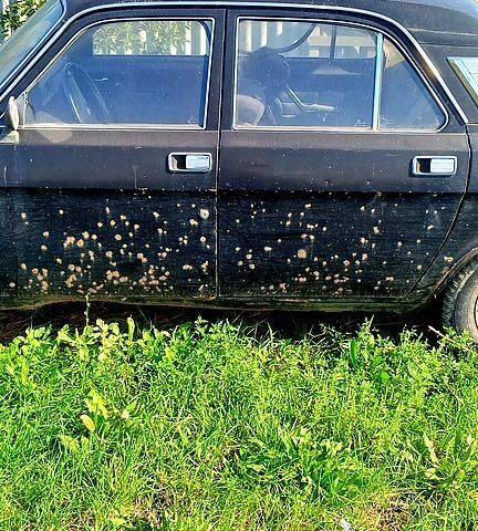 ГАЗ Волга, об'ємом двигуна 2.4 л та пробігом 120 тис. км за 200 $, фото 5 на Automoto.ua