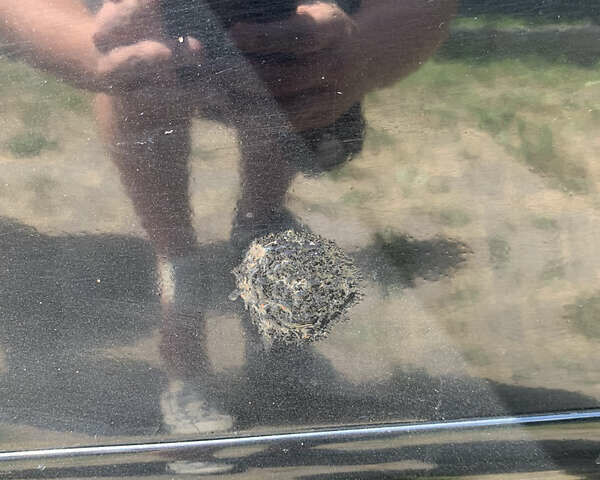 Чорний Джилі ЦК, об'ємом двигуна 1.5 л та пробігом 140 тис. км за 1600 $, фото 12 на Automoto.ua