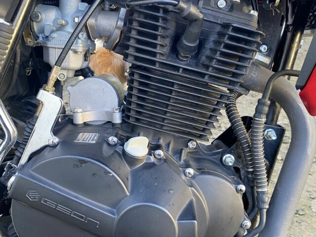 Геон Пантера, объемом двигателя 0.25 л и пробегом 0 тыс. км за 1200 $, фото 6 на Automoto.ua