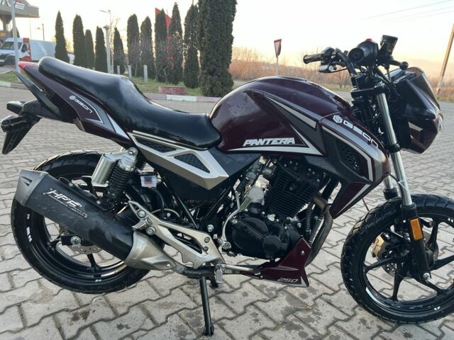 Геон Пантера, объемом двигателя 0.25 л и пробегом 0 тыс. км за 1300 $, фото 4 на Automoto.ua