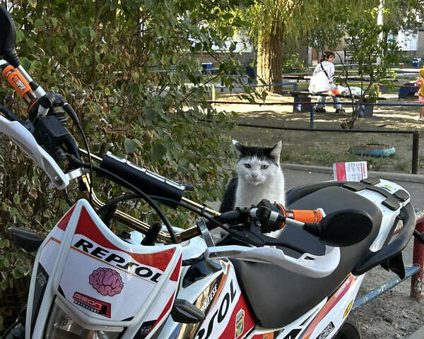 Білий Геон КС-Роад, об'ємом двигуна 0.25 л та пробігом 10 тис. км за 853 $, фото 6 на Automoto.ua