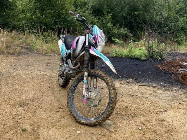 Геон КС-Роад, объемом двигателя 0.25 л и пробегом 0 тыс. км за 800 $, фото 2 на Automoto.ua