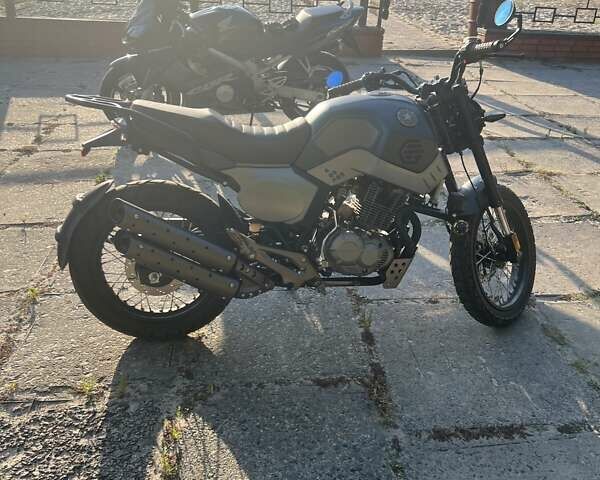 Геон Baddog 250, объемом двигателя 0 л и пробегом 3 тыс. км за 1499 $, фото 4 на Automoto.ua