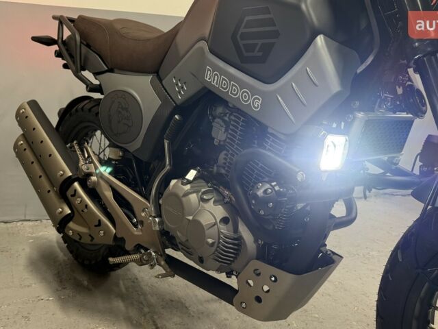купить новое авто Геон Baddog 250 2025 года от официального дилера Сергей Геон фото