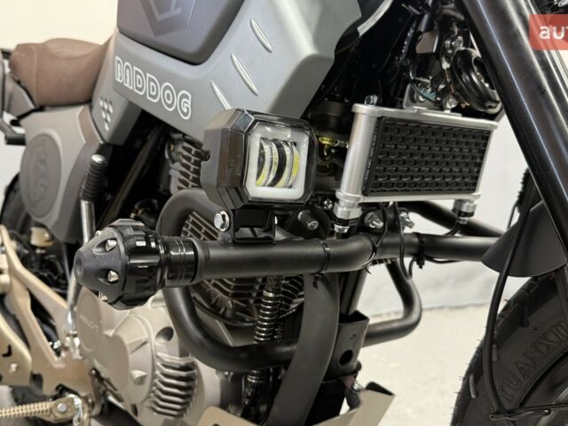купить новое авто Геон Baddog 250 2025 года от официального дилера Сергей Геон фото