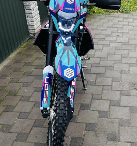 Черный Геон Dakar GNS 300, объемом двигателя 0.3 л и пробегом 1 тыс. км за 2499 $, фото 10 на Automoto.ua