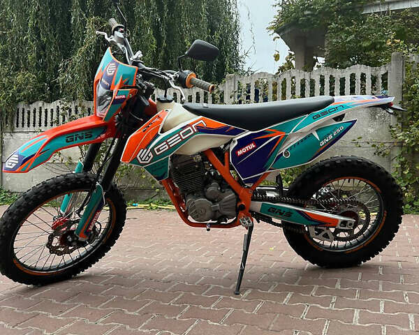 Геон Dakar GNS 300, объемом двигателя 0.25 л и пробегом 3 тыс. км за 1500 $, фото 4 на Automoto.ua