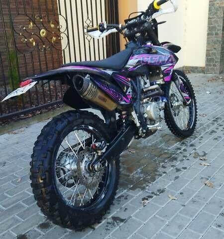 Геон Dakar GNS 300, объемом двигателя 0 л и пробегом 9 тыс. км за 1900 $, фото 3 на Automoto.ua