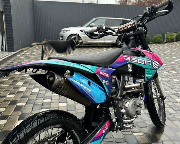 Геон Dakar GNS 300, об'ємом двигуна 0 л та пробігом 8 тис. км за 1850 $, фото 3 на Automoto.ua