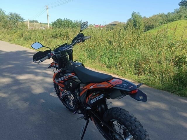 Геон Dakar GNS 300, объемом двигателя 0.3 л и пробегом 0 тыс. км за 2699 $, фото 9 на Automoto.ua