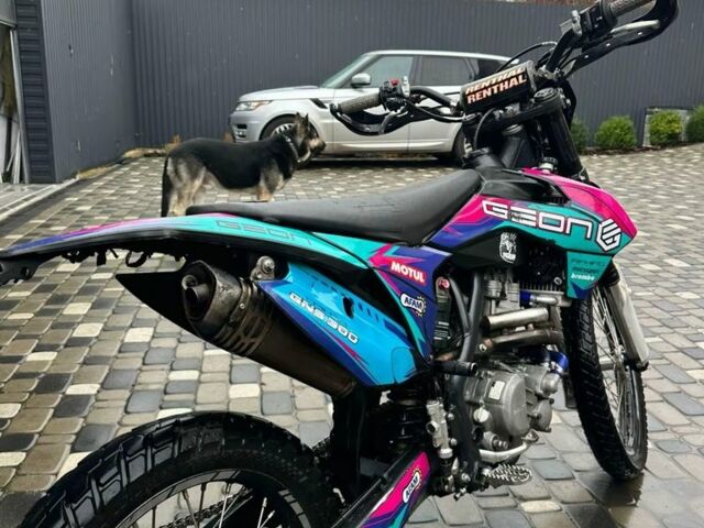 Геон Dakar GNS 300, об'ємом двигуна 0.3 л та пробігом 0 тис. км за 1732 $, фото 6 на Automoto.ua