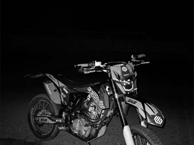 Геон Dakar GNS 300, об'ємом двигуна 0.3 л та пробігом 0 тис. км за 1732 $, фото 4 на Automoto.ua