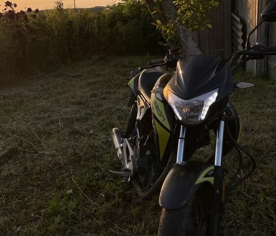 Геон Інша, об'ємом двигуна 0.2 л та пробігом 0 тис. км за 870 $, фото 2 на Automoto.ua