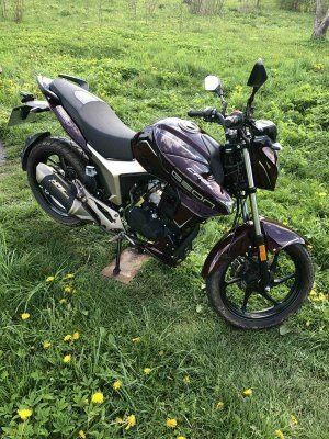 Геон Інша, об'ємом двигуна 0.25 л та пробігом 0 тис. км за 1430 $, фото 2 на Automoto.ua