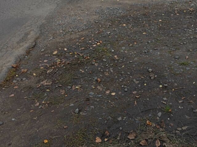 Геон Другая, объемом двигателя 0.25 л и пробегом 0 тыс. км за 473 $, фото 5 на Automoto.ua